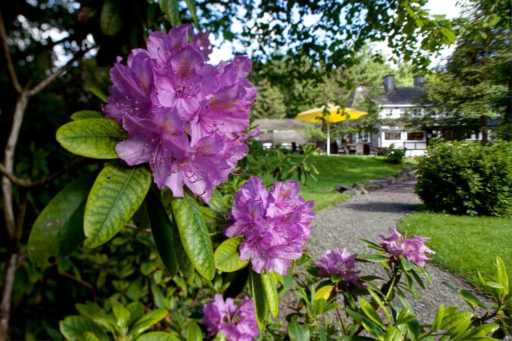 Romantik Hotel Stryckhaus Willingen  Zewnętrze zdjęcie